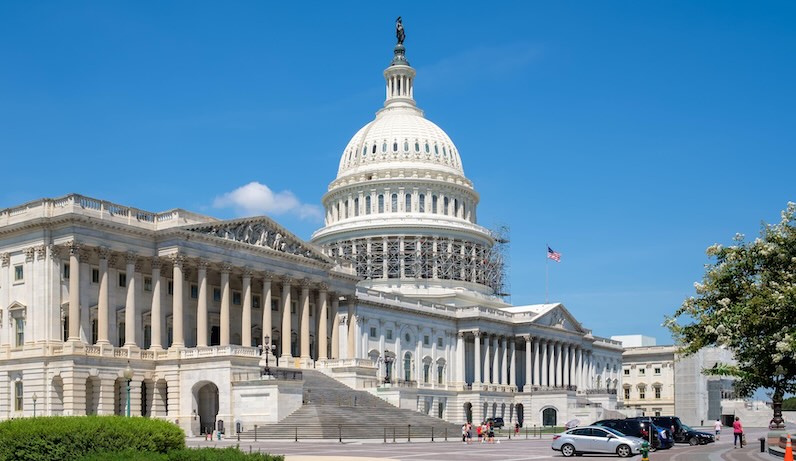 Young Nelson protest collage.